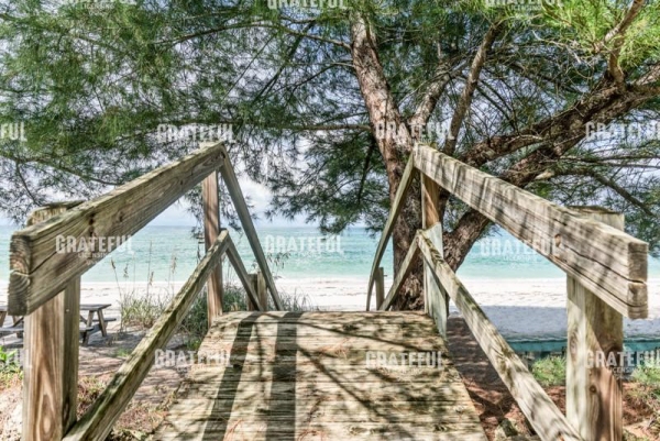 Beach Shade