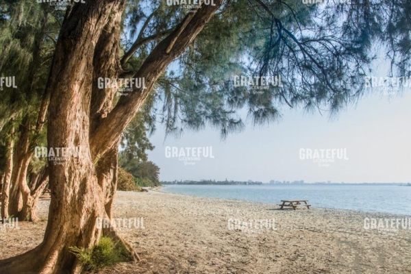 Beach Solitude-2