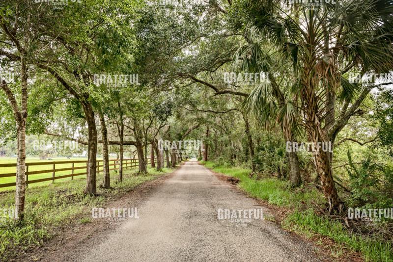 Country Roads, Take Me Home