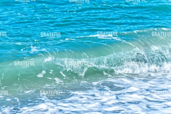 My Wave