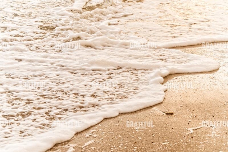 Shoreline Bubbles