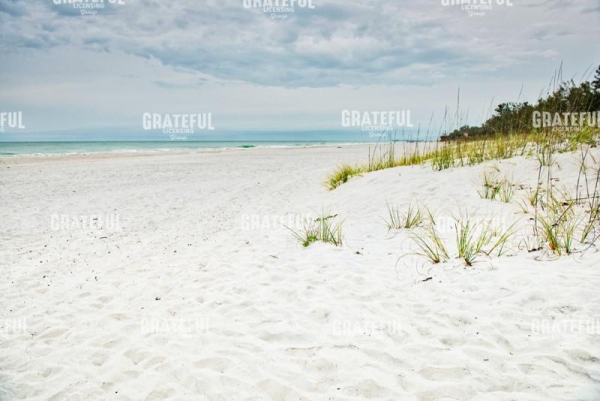 Beach Solitude