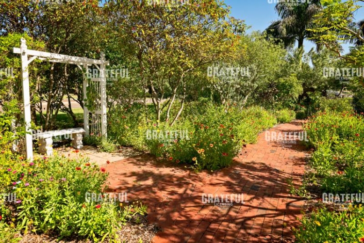 Butterfly Garden