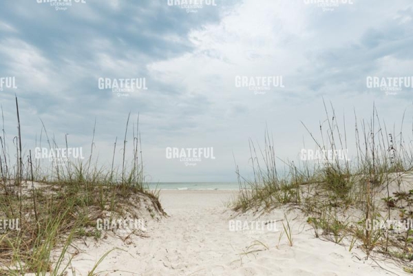 Dune Path