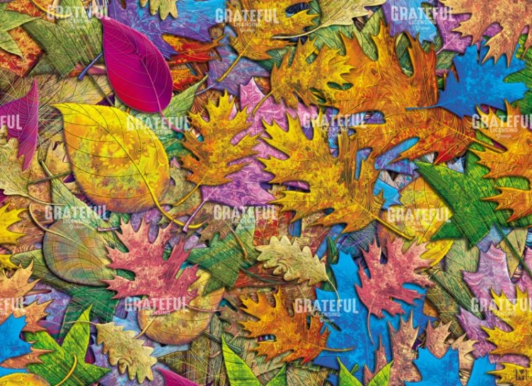 Leaves