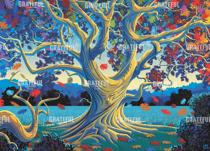 Grandmother Tree Autumn