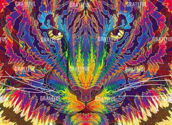 Face to Face Rainbow Tiger