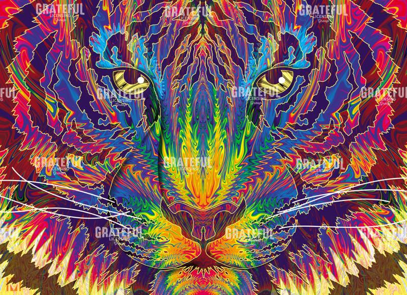 Face to Face Rainbow Tiger