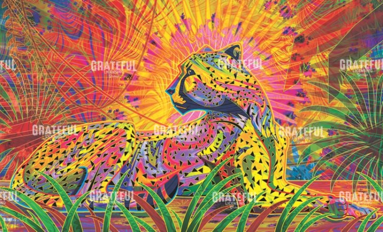 Cheetah Graphic