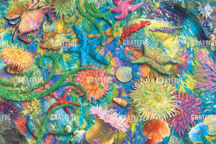 Tide Pool 2