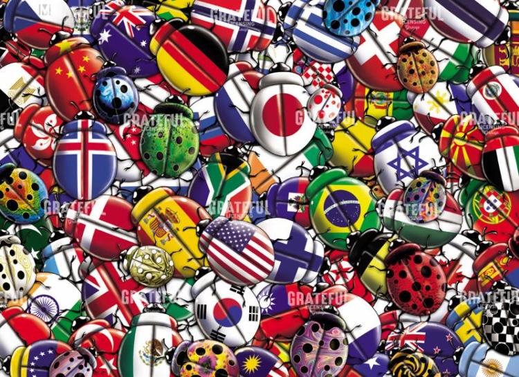 Lady Bugs Flags