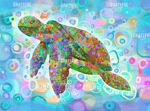 Tortuga 2