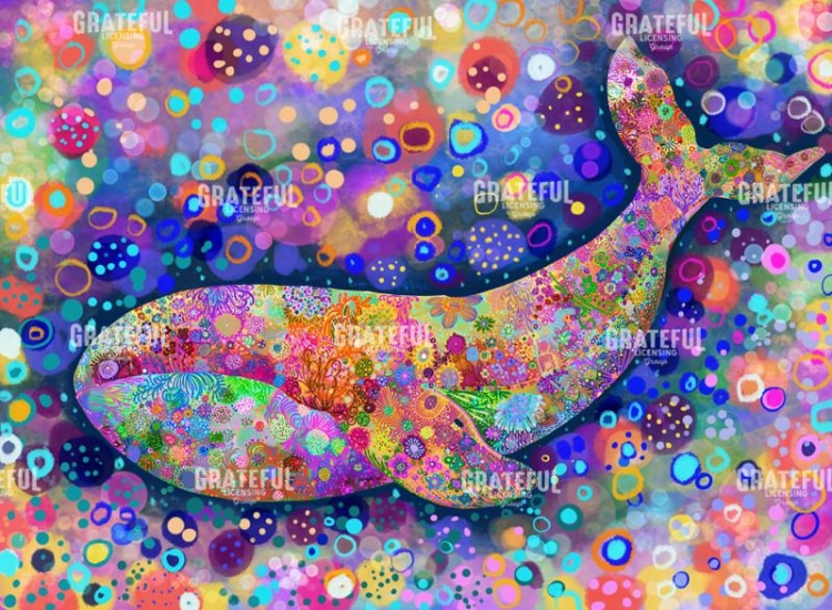 Fondo Ballena