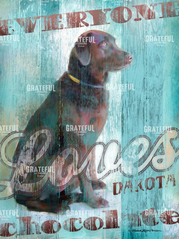 5290 dakota chocolate 18 X24.TIF