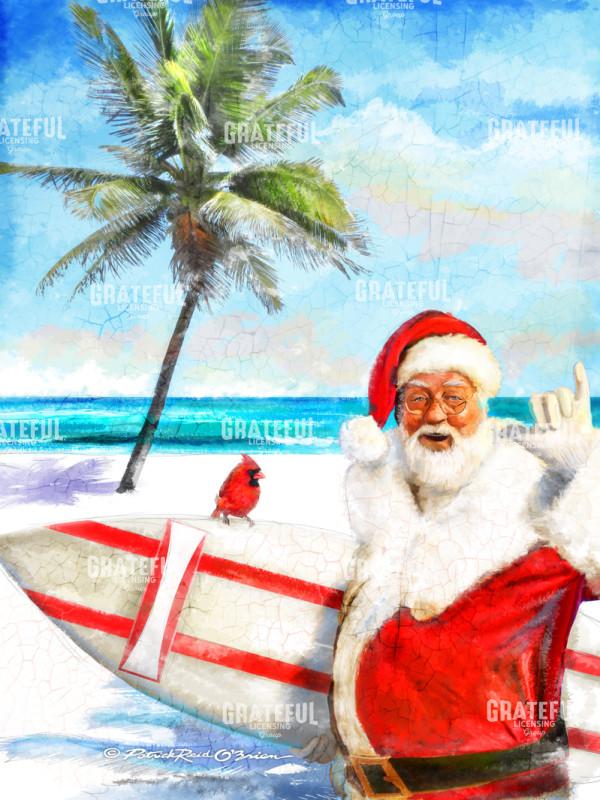 Surfing Santa