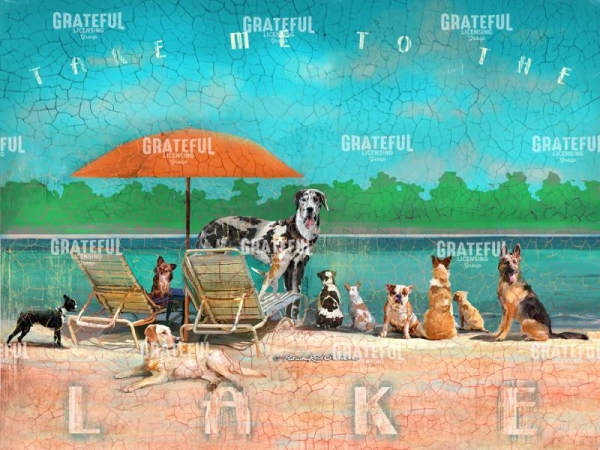 6437 DOG LAKE