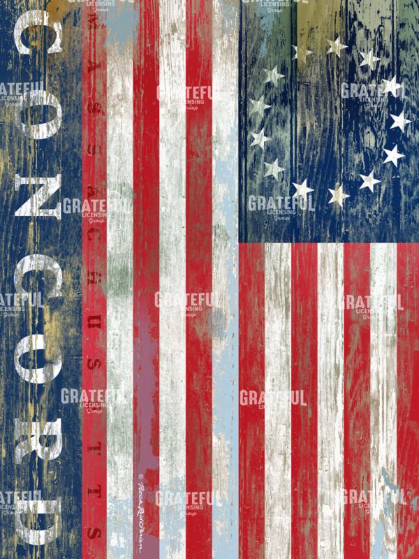 CONCORD MASS FLAG