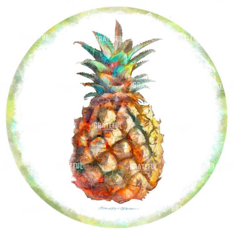PINEAPPLE CIRCLE