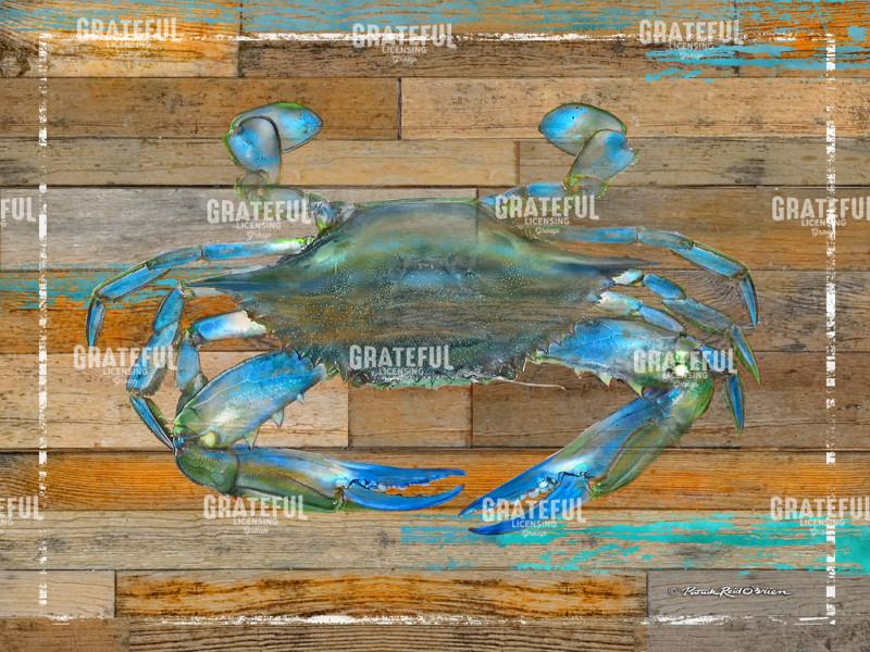 BLUE CRAB