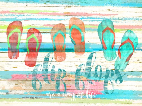 Flip Flop
