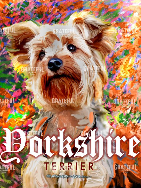 YORKIEE IMPRESSION