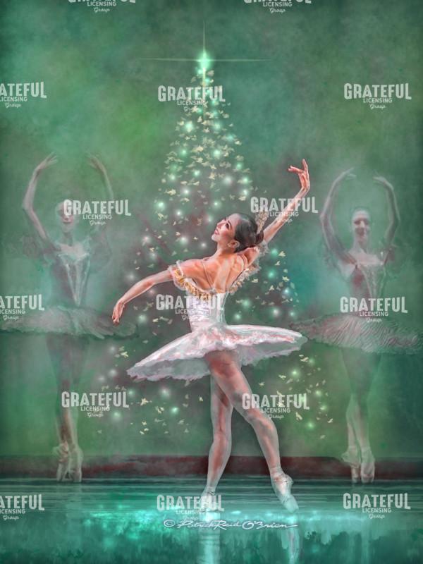 2544 NUTCRACKER BALLET