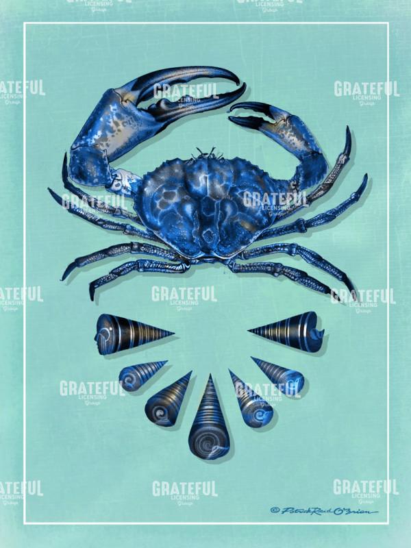 2422 fiddler crab.tif