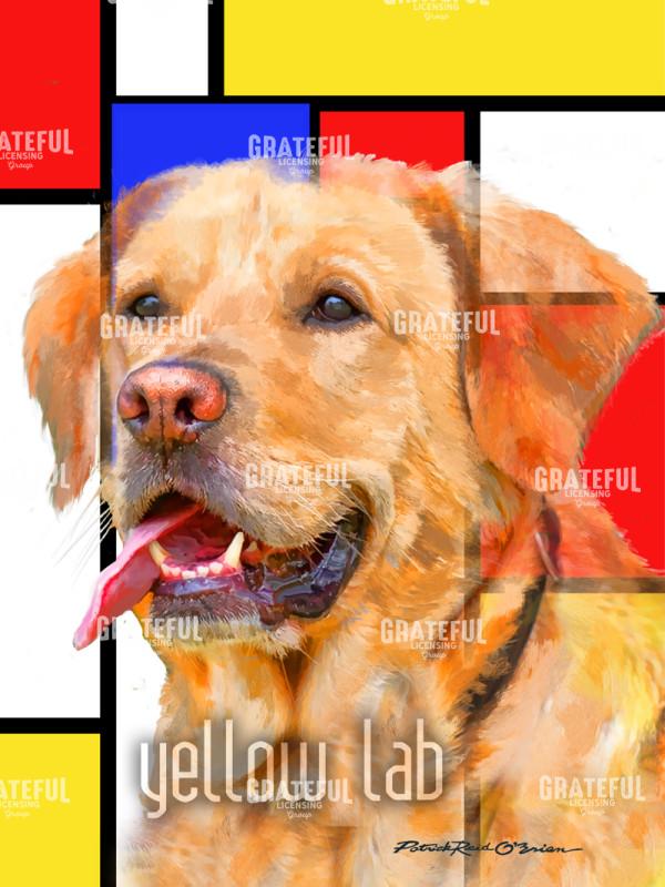 yellow lab