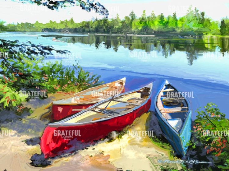 2565 CANOES
