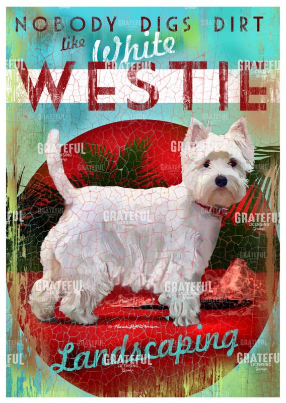 White Westie