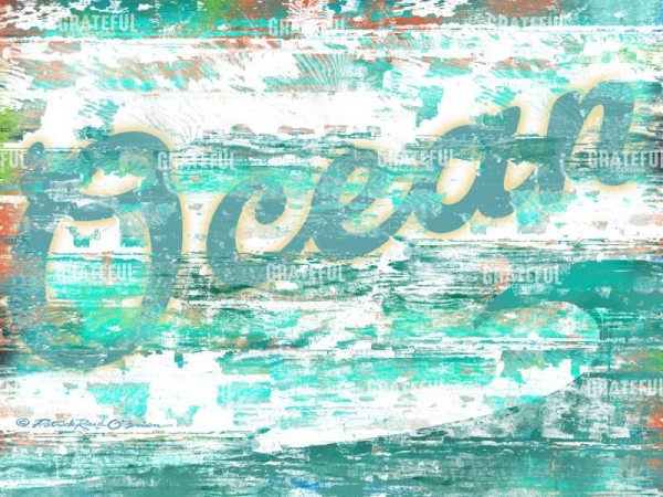 6223 ocean board