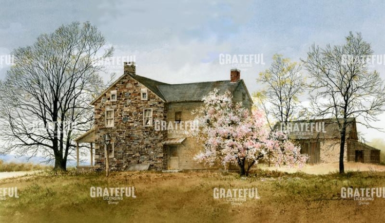 THE SEASONS - SPRING