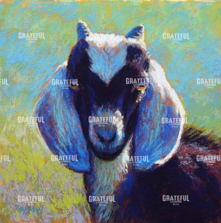 Jester