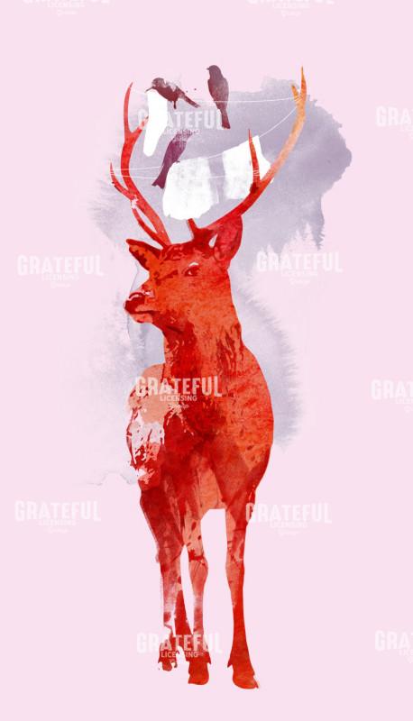 Useless Deer