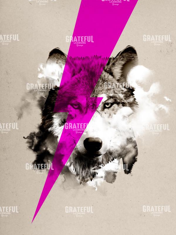 wolf rocks