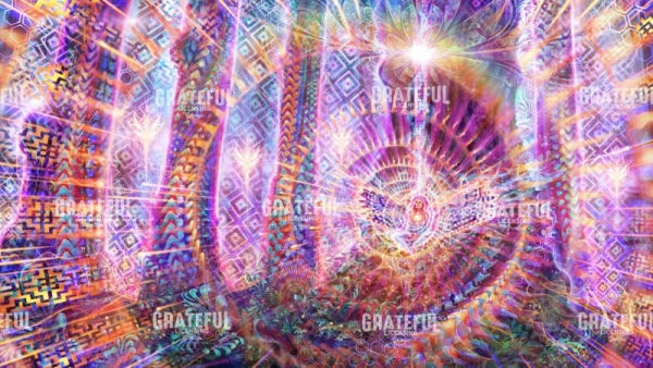Tasha Treeheart in the Quantum Resonance