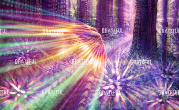 Rainbow Grove