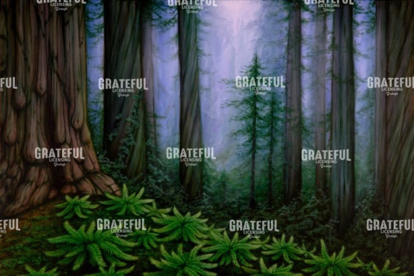 Spirit Forest