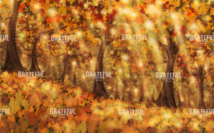 Autumn Dream