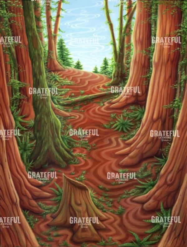 Spiritual Evolution
