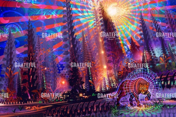 Anima Magica