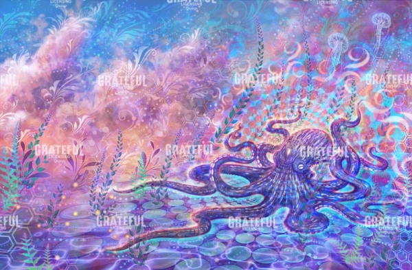 Octo Love