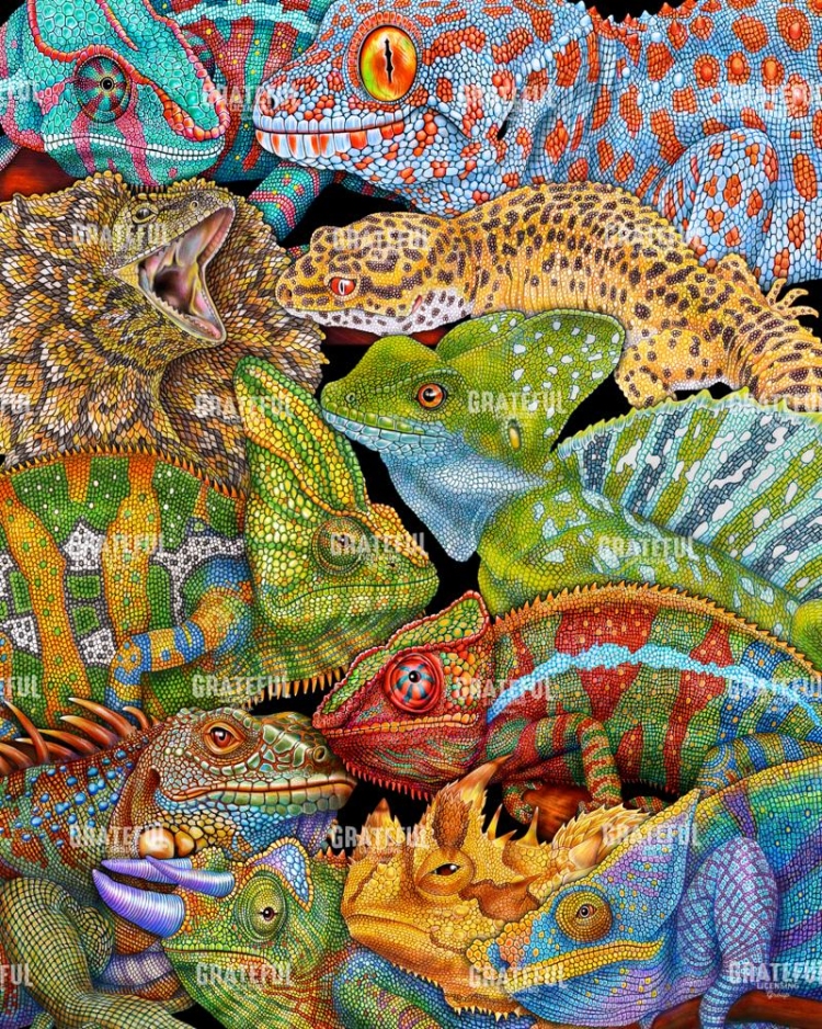 Collage Reptiles Vertical