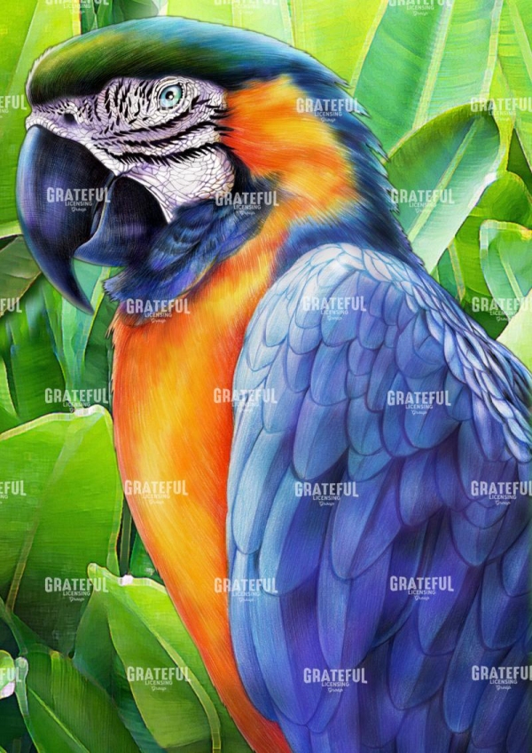 Macaw with Background