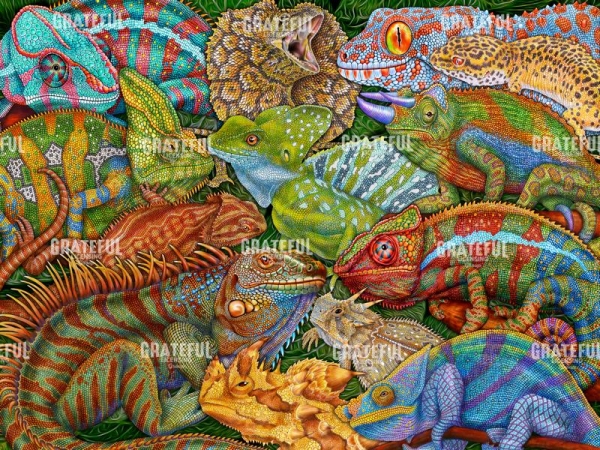 Reptiles