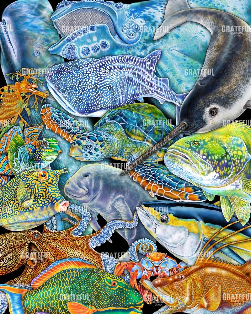 Collage Sea Life