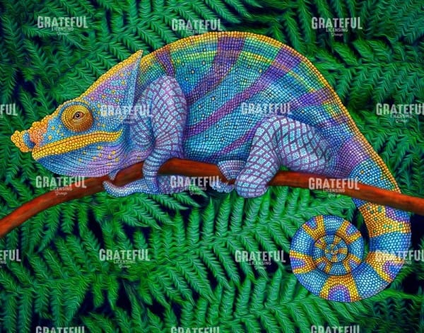 Parsons Chameleon