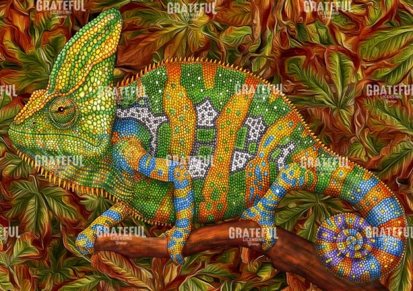 Chameleon Veiled