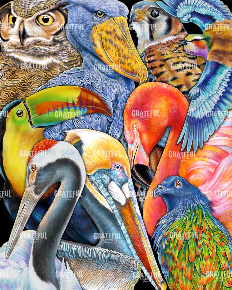 Collage Birds