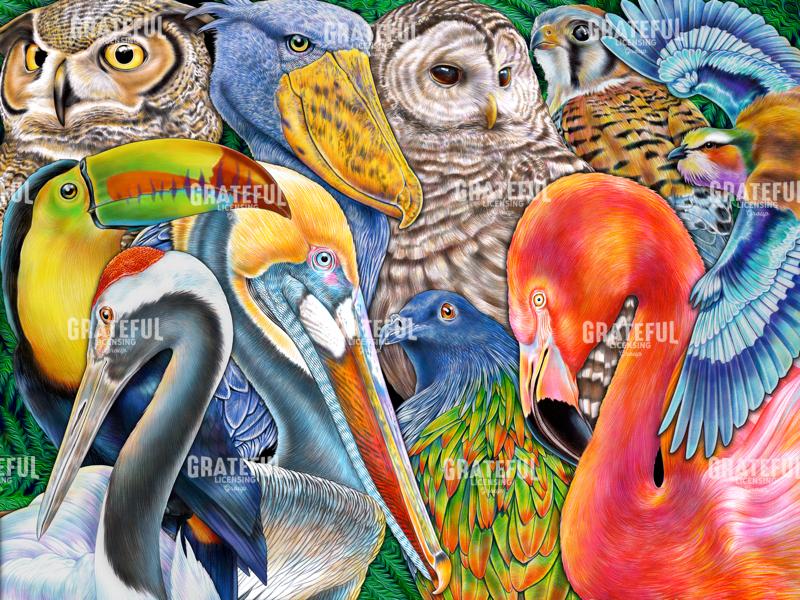 Collage Birds Horizontal